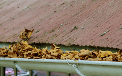 7 Problems Caused By Not Cleaning Your Gutters