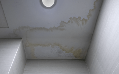 The Problems Caused By Leaking Commercial Roofs